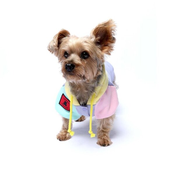 Teddy Fresh Pet Hoodie Pastel Colorblock Size 2XL - 2021 2nd Edition - Picture 9 of 13